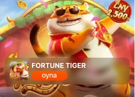 Fortune Tiger